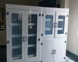 衡阳湖南实验室设备厂家-功能台柜